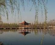 黑山后天天气
