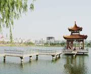 曹县明天天气