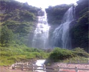 泰顺明天天气