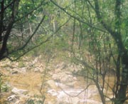 开化明天天气