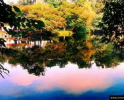 花溪明天天气