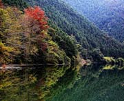 南雄明天天气